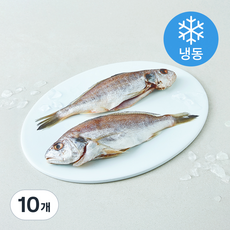 제주반했어 백조기 (냉동), 10개, 150g