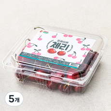 프레시몬 미국산 체리, 500g, 5개