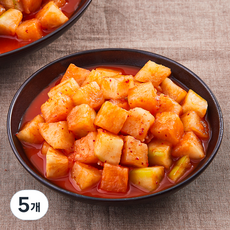 몽미당 남도의 맛 깍두기, 1kg, 5개