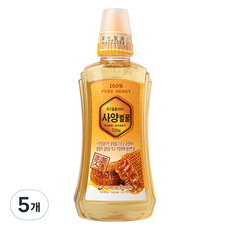 고려인삼 사양벌꿀, 750g, 5개