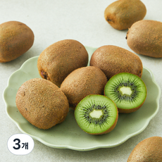 신세계푸드 Sweet Ugly 제주 그린키위, 3개, 1kg