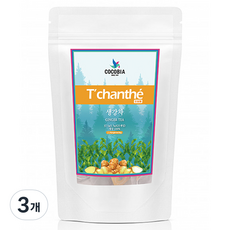 TChanthe 三角網薑茶, 3個, 1.5g, 25入