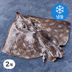 통영원 국내산 손질 가오리 (냉동), 2개, 500g