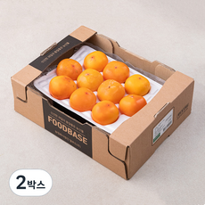 푸드베이스 청도반시 홍시, 1.2kg(8~10입), 2박스