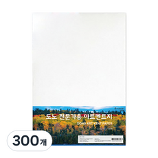 TUCO.B Dono 專業用藝術肯特紙 220g, 300個