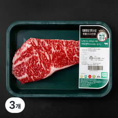 녹색한우 무항생제 인증 1++등급 채끝 구이용 (냉장), 200g, 3개