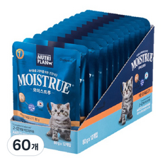 동원뉴트리플랜 키튼 고양이 모이스트루 주식파우치, 닭+참치, 80g, 60개 닭+참치, 80g, 60개
