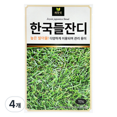 다농 씨앗애 한국들잔디 씨앗 1만립, 4개