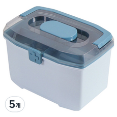 라델리 심플 다용도 구급상자 하늘색 21 x 15 x 14 cm, 5개