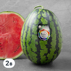 생거진천 덕산 꿀수박, 9kg 이상, 2개