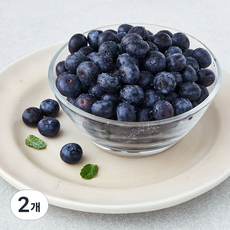 GAP 인증 상큼애 블루베리, 200g, 2개