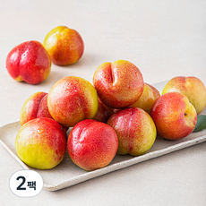 이로운 군위 당도선별 추희 자두 대, 1.2kg, 2팩