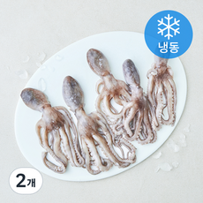올프레시 살아있을때 얼린낙지 (냉동), 2개, 600g(5~7미)