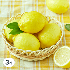 미국산 더네이처 레몬, 700g, 3개
