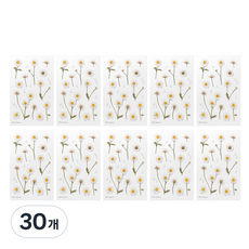 Appree 壓花貼紙, 瑪格麗特, 30個