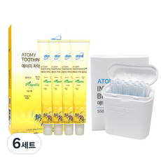 애터미 치약 50g x 4p + 치간 브러시 SS 0.9mm, 6세트