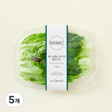 Greenery+ 무농약 인증 레드쏘렐 & 스피니치 샐러드믹스, 150g, 5개