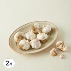 친환경 통마늘, 500g, 2개