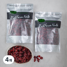 리치팜너트 건크랜베리, 700g, 4개
