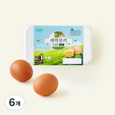 조인 무항생제 인증 새싹보리 안심란 대란 780g, 6개, 15구
