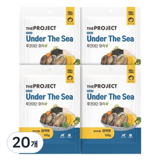 펫러닝 강아지 더프로젝트 PLAN2 언더더씨 후코이단 자연화식, 미역맛, 100g, 20개