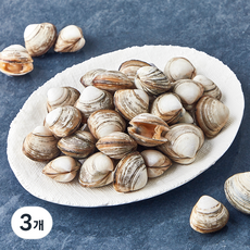 숨비해물 국내산 감칠맛 가득한 동죽조개 (냉장), 3개, 800g