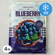 글로벌냉동식품 블루베리 (냉동), 4개, 1kg