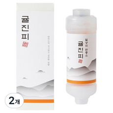 비타온 일상의 한증소 비타민 샤워필터, 2개, 귤진피(적황색) : 설산 속 청귤 향