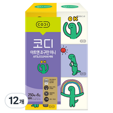 코디 아트앤 조구만 미니 미용티슈 2겹, 250개입, 12개