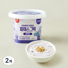 서울우유 파머스 그릭 블루베리, 400g, 2개