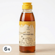 루미쉘 프리미엄 자연 야생화 벌꿀, 700g, 6개