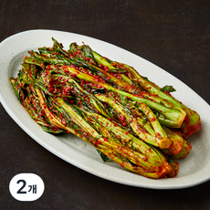 선우용녀의 마음담은 맛있는 갓김치, 1kg, 2개