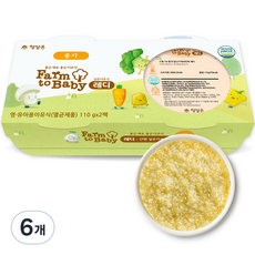 팜투베이비 레디 실온이유식 중기, 닭고기비타민죽, 110g, 6개