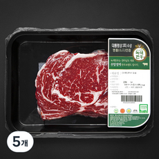 녹색한우 무항생제인증 1등급 등심 구이용 (냉장), 5개, 250g