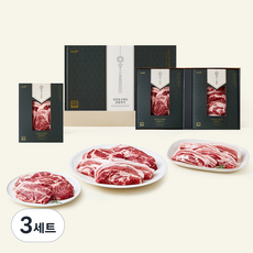 선진포크한돈 동물복지 인증 한돈 구이 삼겹살 500g x 2개입 + 목살 500g x 2개입 세트 (냉장), 3세트