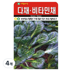 아람종묘 다채 비타민채 씨앗, 4개