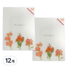 랑캣몰 메르시블룸 투포켓 파일, Prunus, 12개