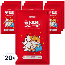 탐사 방석형 핫팩 400g, 20개