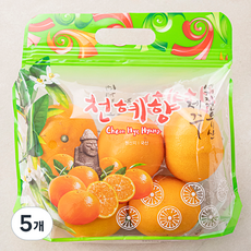 귤탐 천혜향, 1.2kg(소과, 6~8입), 5개