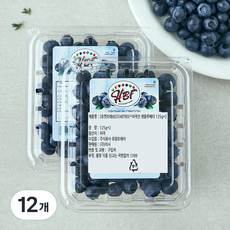 STARTREE 미국산 생블루베리, 12개, 125g