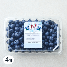 미국산 블루베리, 310g, 4개