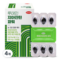 한미 루테인 지아잔틴 파워 12g, 30정, 4개