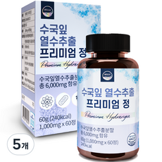 웰리즈 수국잎 열수추출 프리미엄 정 60g, 60정, 5개
