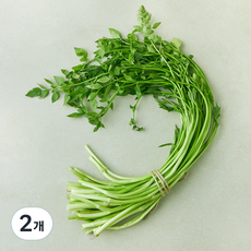 순천 미나리, 200g, 2개