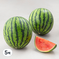 클로렐라 애플수박 2입, 1.8kg 이상, 5팩