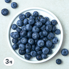 캐나다산 PSK 블루베리, 3개, 310g