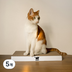 차즈마켓 고양이 베이직 평판형 스크래쳐, 화이트, 5개