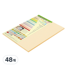 종이문화 두꺼운양면 레인보우카드 칼라용지 No2 아이보리 205g, 8절, 48개