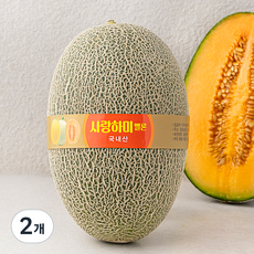 사랑하미 진주 멜론 하미과, 2개, 1.8kg 이상