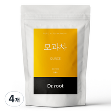 닥터루트 모과차 삼각티백, 1.2g, 25개입, 4개